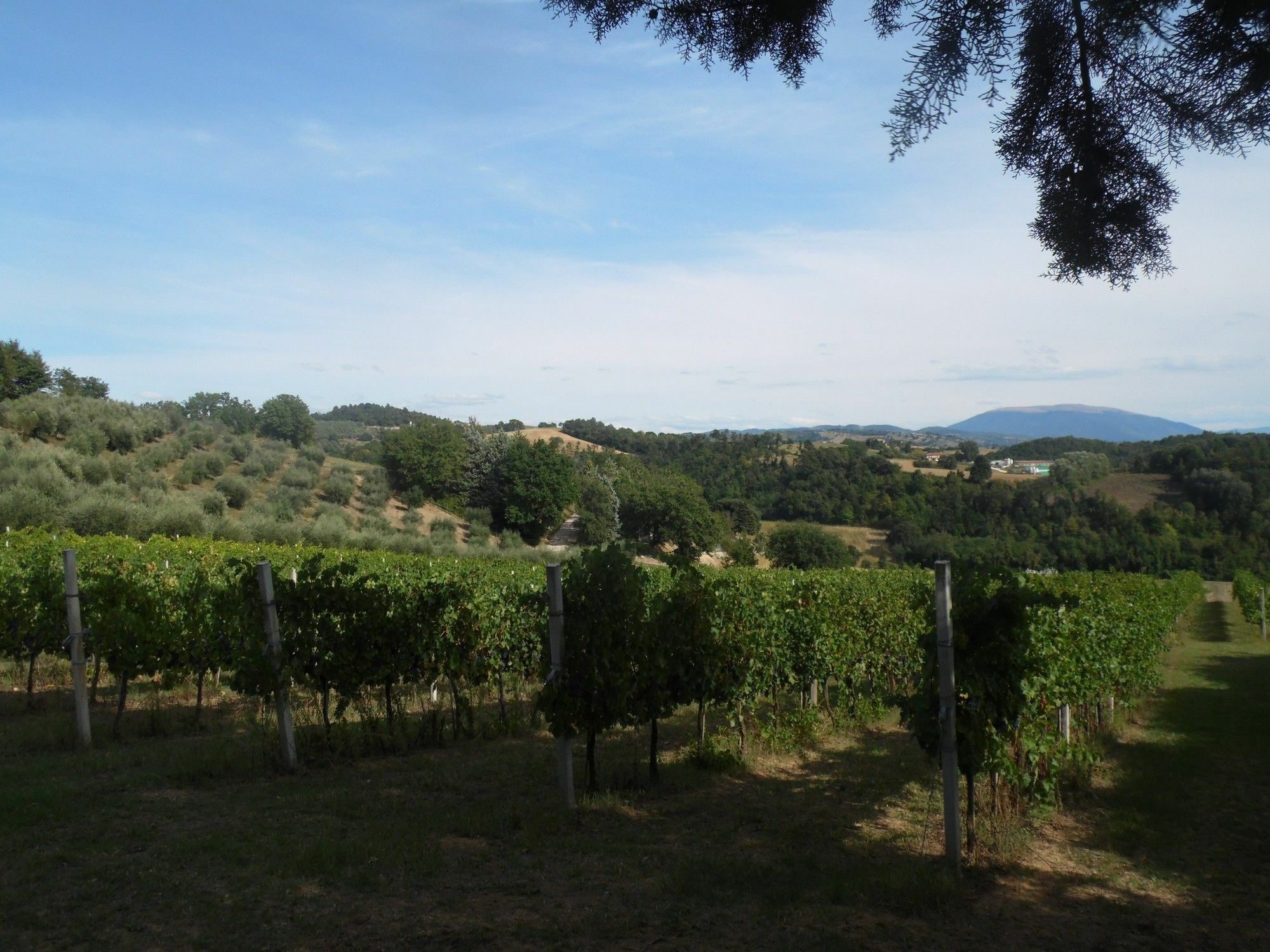 Podere Caldaruccio La Pineta Perugia Exterior foto